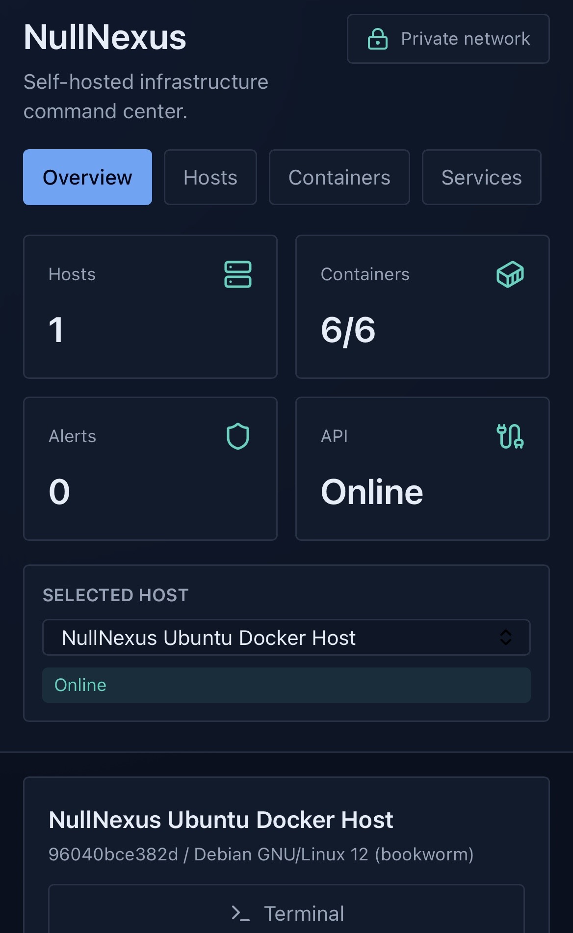 NullNexus mobile dashboard overview
