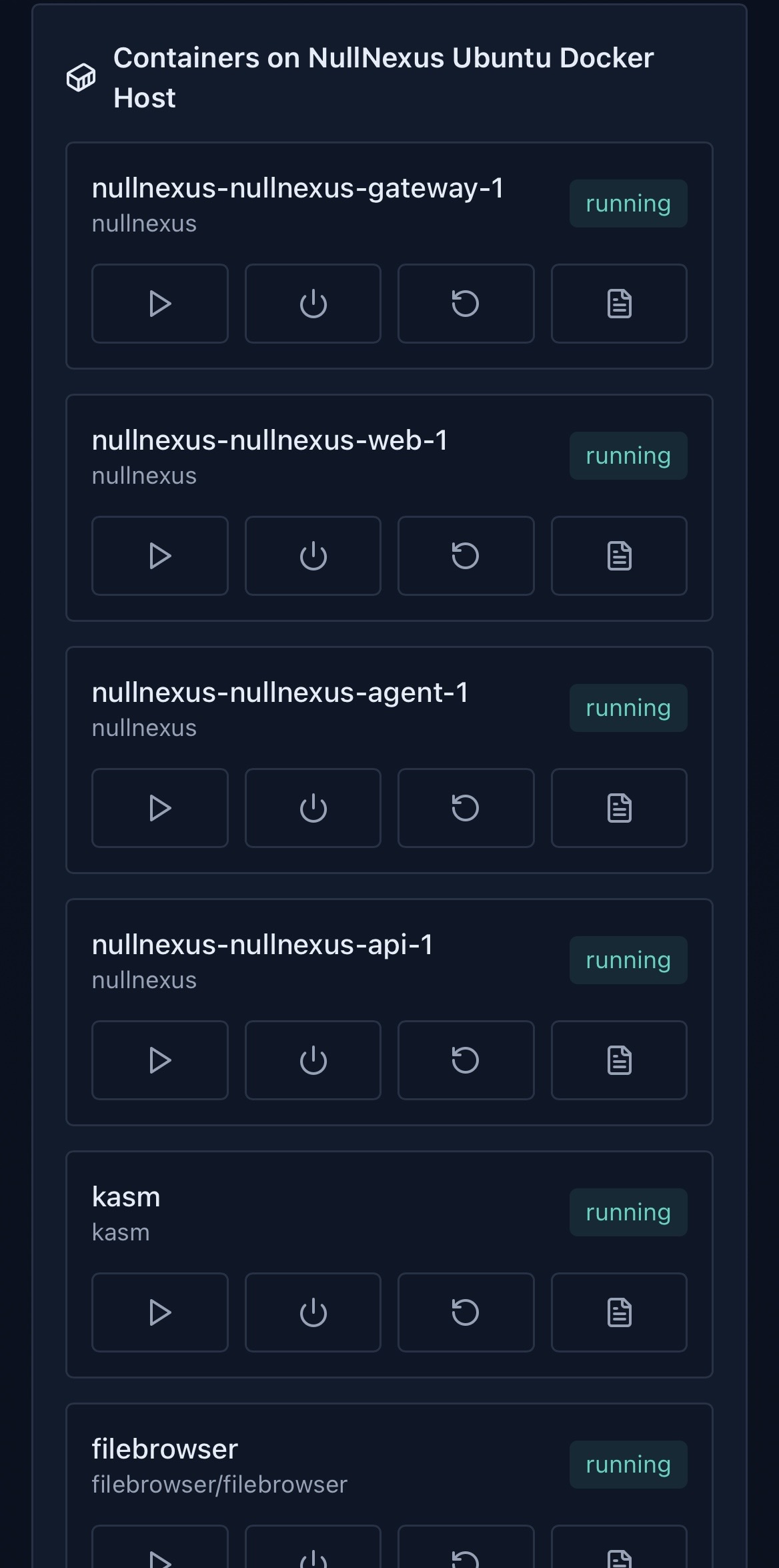NullNexus containers view