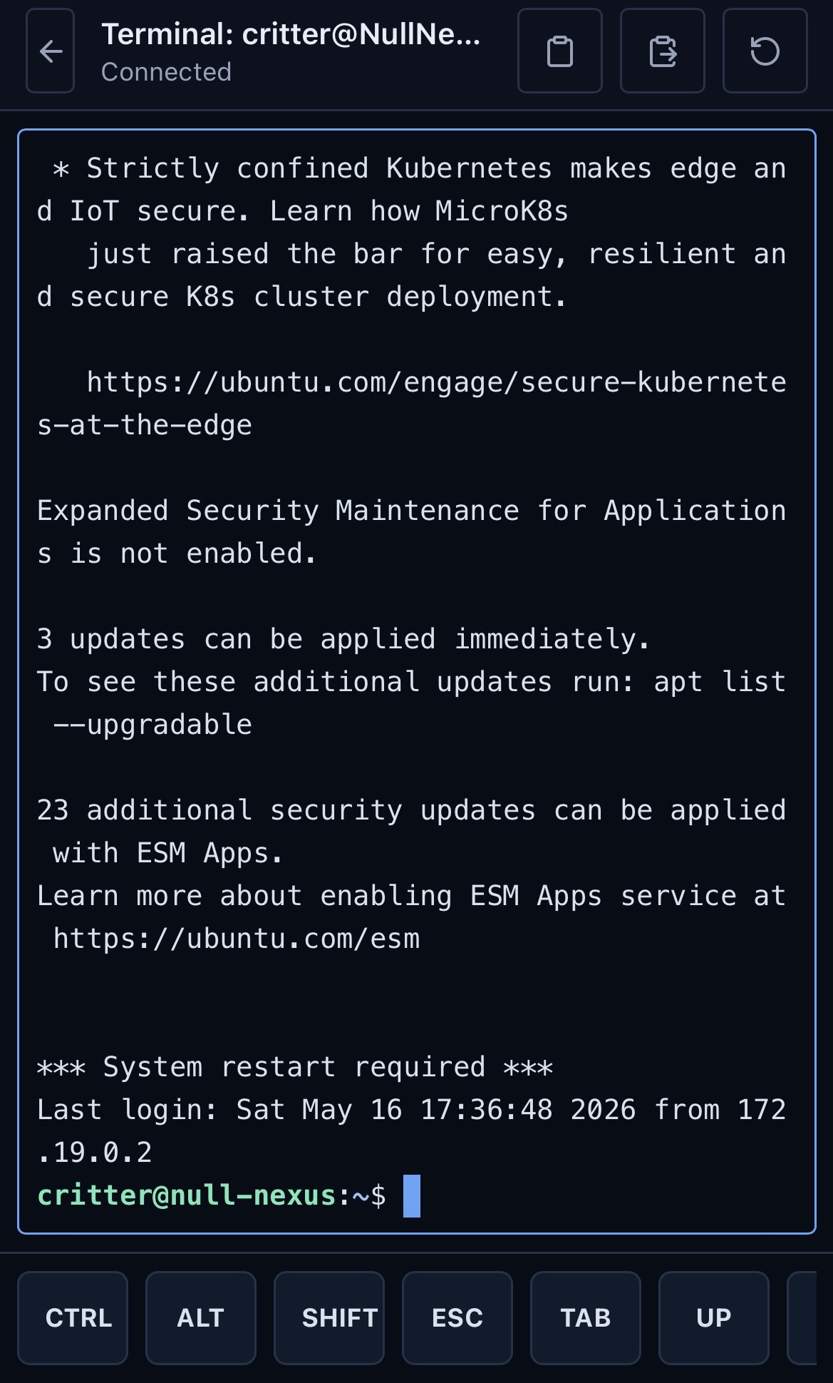 NullNexus browser SSH terminal